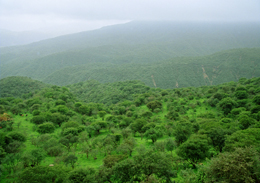 محافظة ظفار