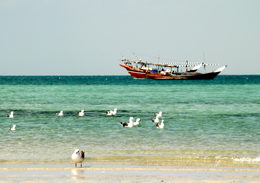 محافظة جنوب الشرقية