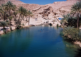 محافظة شمال الشرقية