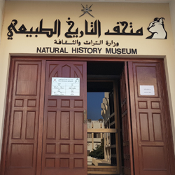 عرض ثلاثي الابعاد باللغة الأنجليزية