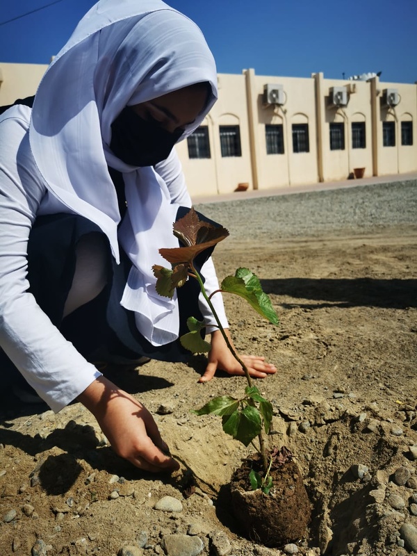 تعليمية شمال الباطنة الأولى في مسابقة المدارس الخضراء